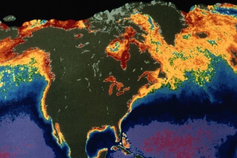 fungal infections climate change