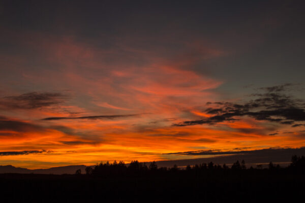 evening sky