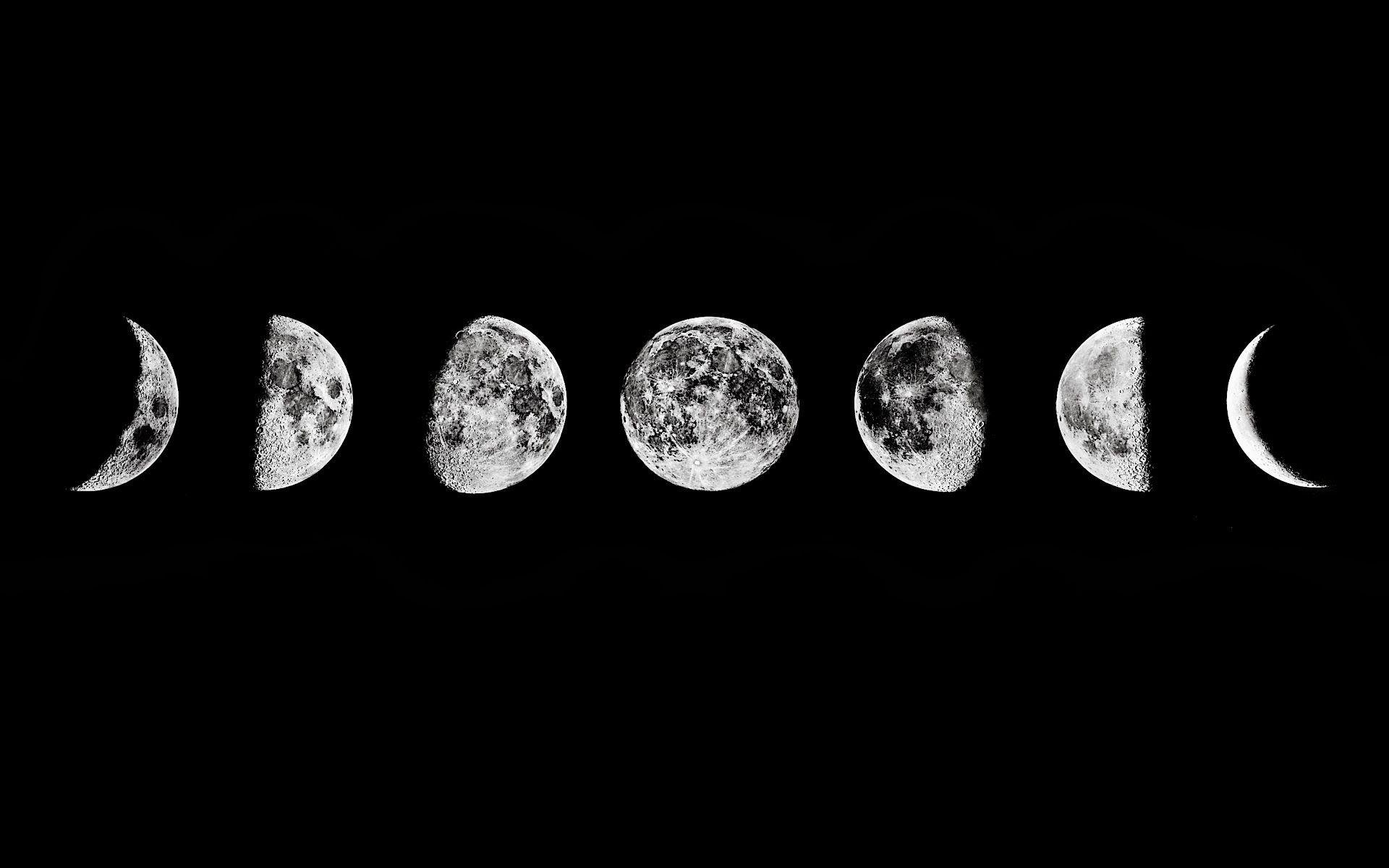 Moon Phases in November 2023: A Guide to the Night Sky